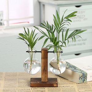 
                  
                    Load image into Gallery viewer, Hydroponic Transparent Plant Vases
                  
                